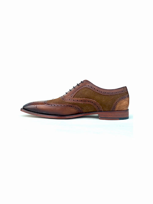 Rawls Stella Spectator Wingtip Oxford Men\'s 13 Tan/Brown Leather Two-Tone Buy Stella Spectator Wingtip Oxford - Brown Shoes for Men  main image 2